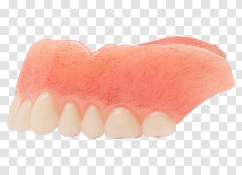 Human Tooth Dentures - Classical Shading Transparent PNG