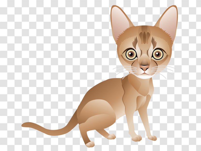 Kitten Whiskers Abyssinian Burmese Cat Malayan Transparent PNG