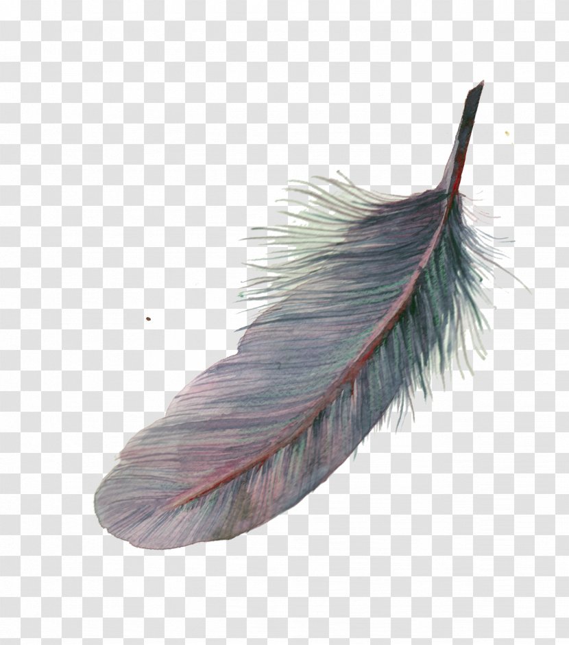 Feather Watercolor Painting Pixel Transparent PNG