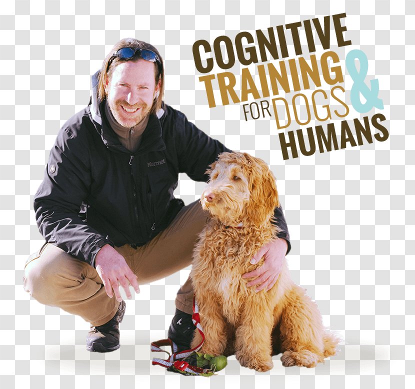 Dog Breed Puppy Companion Training - Cognitive Transparent PNG