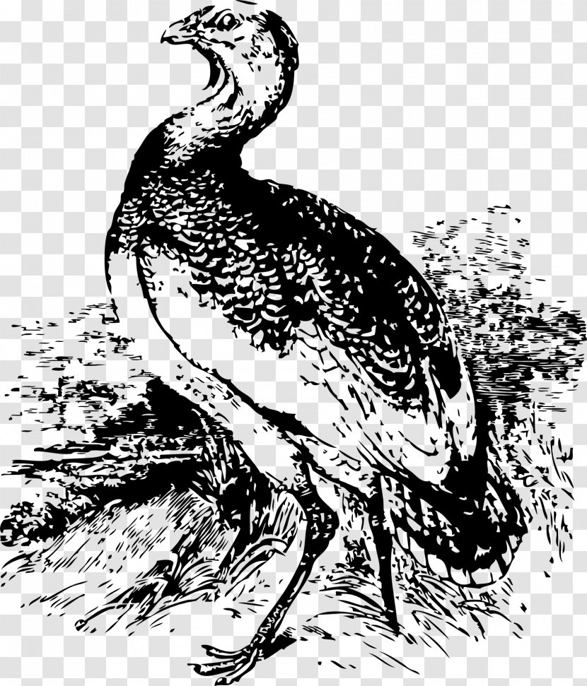 Chicken Bird Bustard Clip Art - Black And White - Greater Transparent PNG