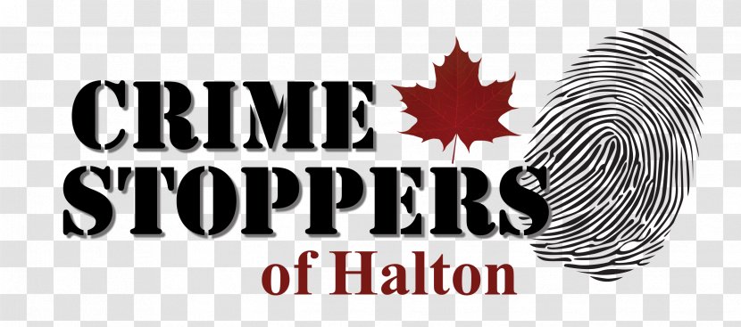 Crime Stoppers Of Halton Logo Image - Logos - 20 Anniversary Transparent PNG