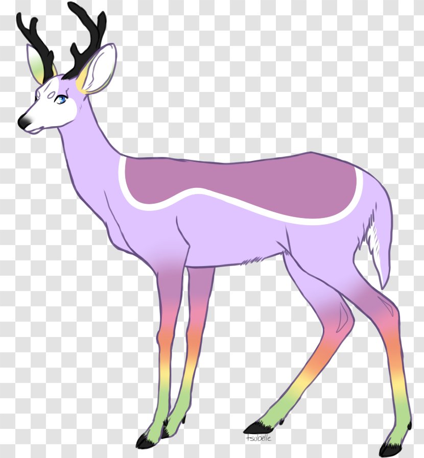 Springbok Musk Deers Reindeer Gazelle - Deer Transparent PNG