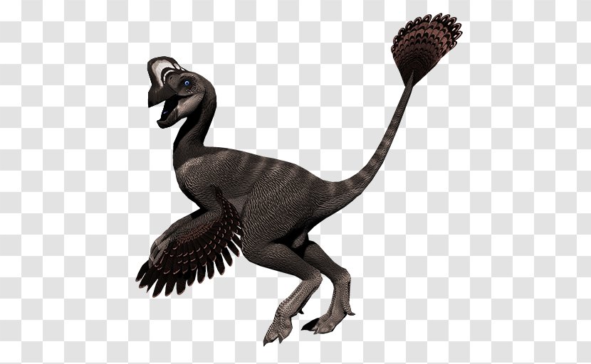 Oviraptor Primal Carnage: Extinction Velociraptor Video Games - Tyrannosaurus - Dinosaur Transparent PNG