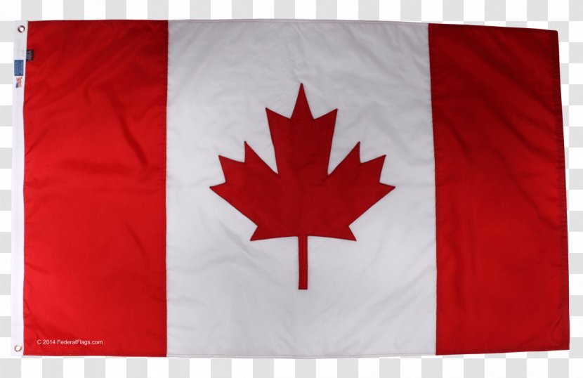 Toronto Flag Of Canada Day Citizenship Upper - Tree Transparent PNG