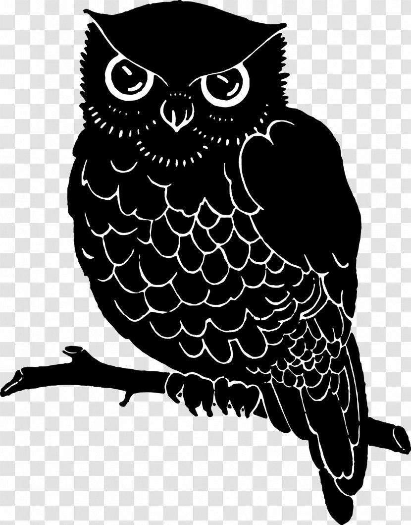 Owl Beak White Font - Bird Of Prey Transparent PNG