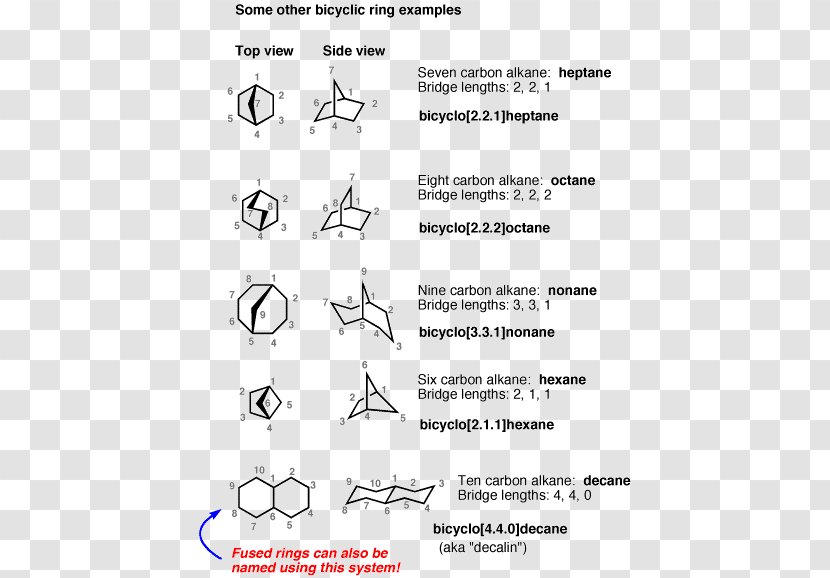 Bicyclic Molecule Bridged Compounds Ring Alkane Chemical Compound - Area Transparent PNG