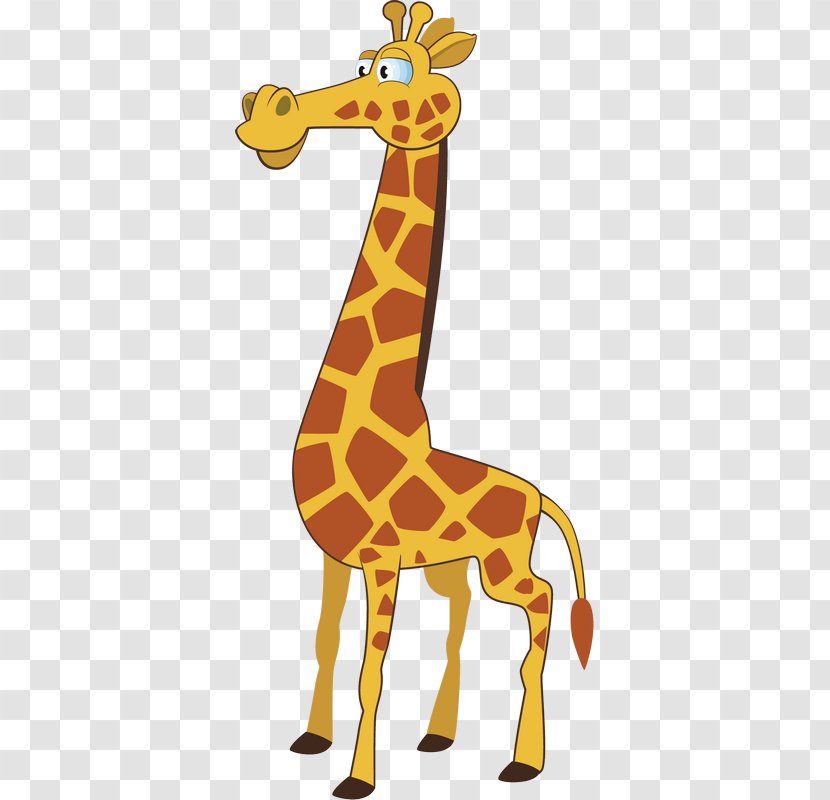 Northern Giraffe Camel Ruminantia Transparent PNG