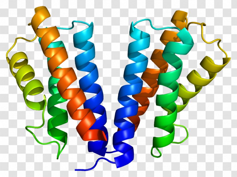 Signal Transducing Adaptor Protein Vesicle Vacuolar Sorting Complex - Cartoon - Silhouette Transparent PNG