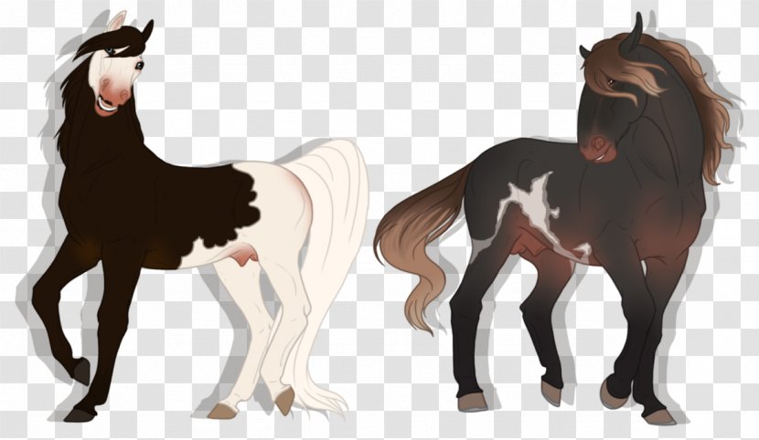 Mustang Foal Stallion Colt Mare - Tail Transparent PNG