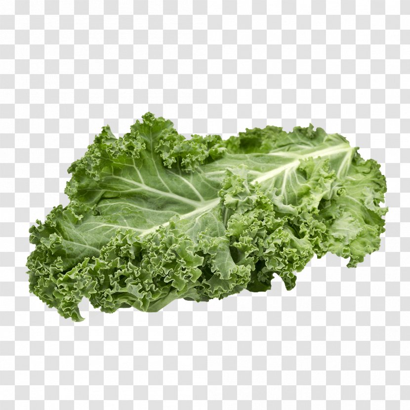 Curly Kale Cabbage Stock Photography Image - Broccoli - Lettuce Transparent PNG