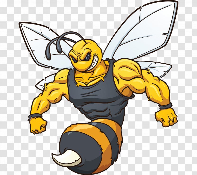 Bee Wasp Clip Art - European Hornet - Mosquito Transparent PNG