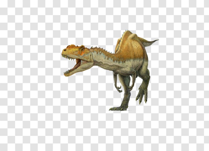 Spinosaurus Yangchuanosaurus Tyrannosaurus Metriacanthosaurus Oxfordian - Jurassic - Dinosaur Transparent PNG