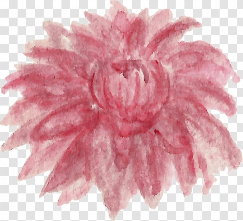 Dahlia Pink M Chrysanthemum - Watercolor Transparent PNG