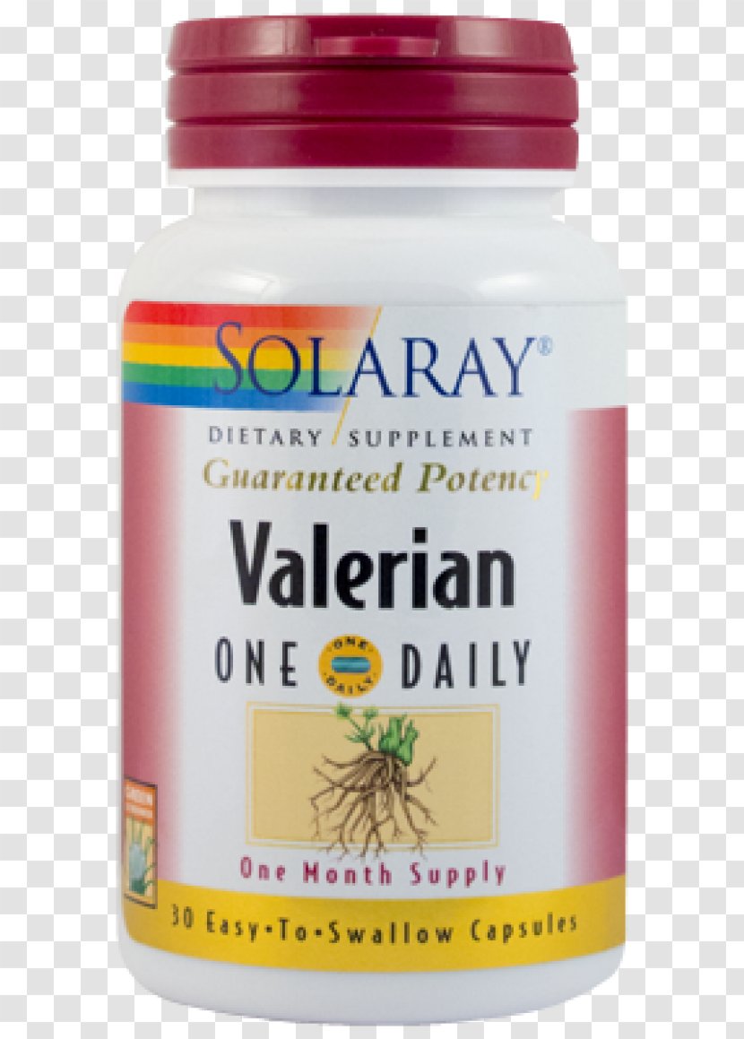 Dietary Supplement Perforate St John's-wort Vitamin Valerian Tablet Transparent PNG