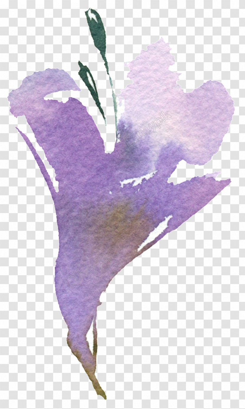 Watercolor Painting Art Design Image - Petal - Assign Transparent PNG