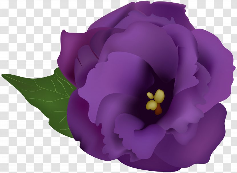 Clip Art - Petal - Purple Flower Transparent Image Transparent PNG