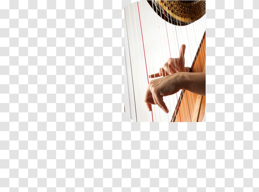 Conservatoire National Supérieur De Musique Et Danse Lyon Anne Ricquebourg Shoulder - Neck - Finger Transparent PNG