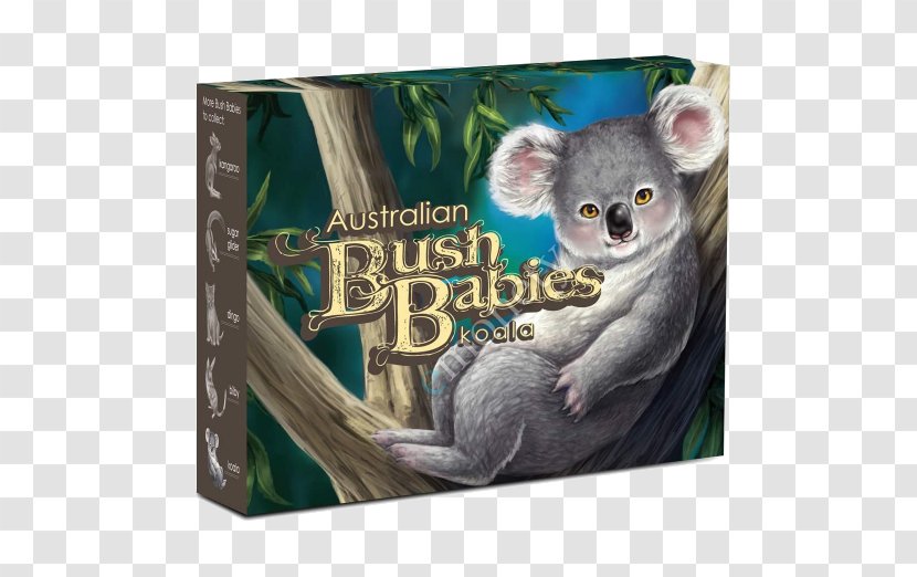 Koala Fauna Snout - Marsupial Transparent PNG