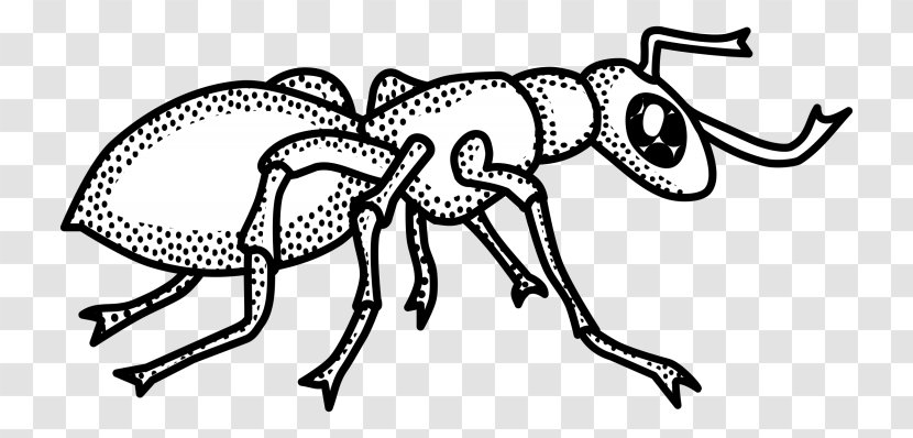Anteater Coloring Book The Ant And Grasshopper Child Transparent PNG