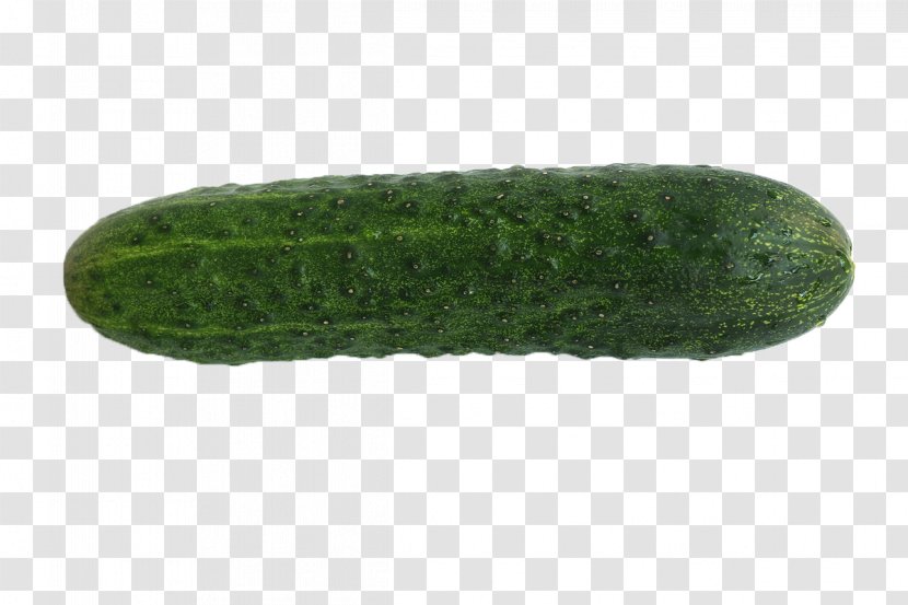 Pickled Cucumber Transparent PNG