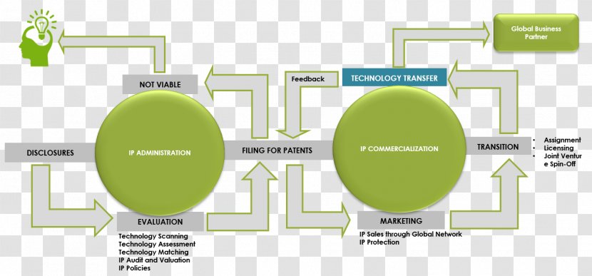 Commercialization Company Intellectual Property Business Organization - Diagram - Technology Transfer Transparent PNG