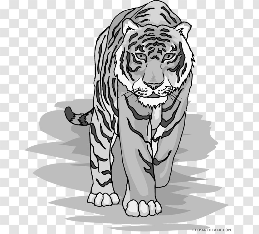 Siberian Tiger Clip Art Openclipart Bengal Cat - Heart Transparent PNG