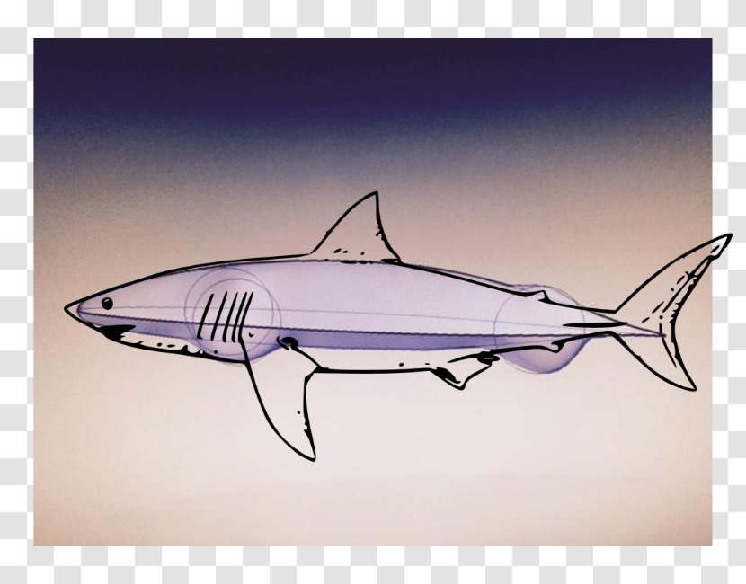 Shark Fauna Swordfish Clip Art - Fin Transparent PNG