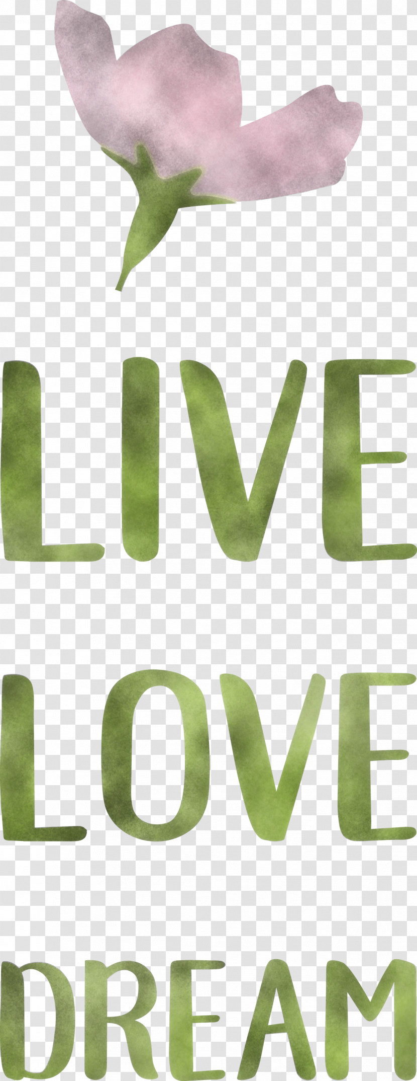 Live Love Dream Transparent PNG