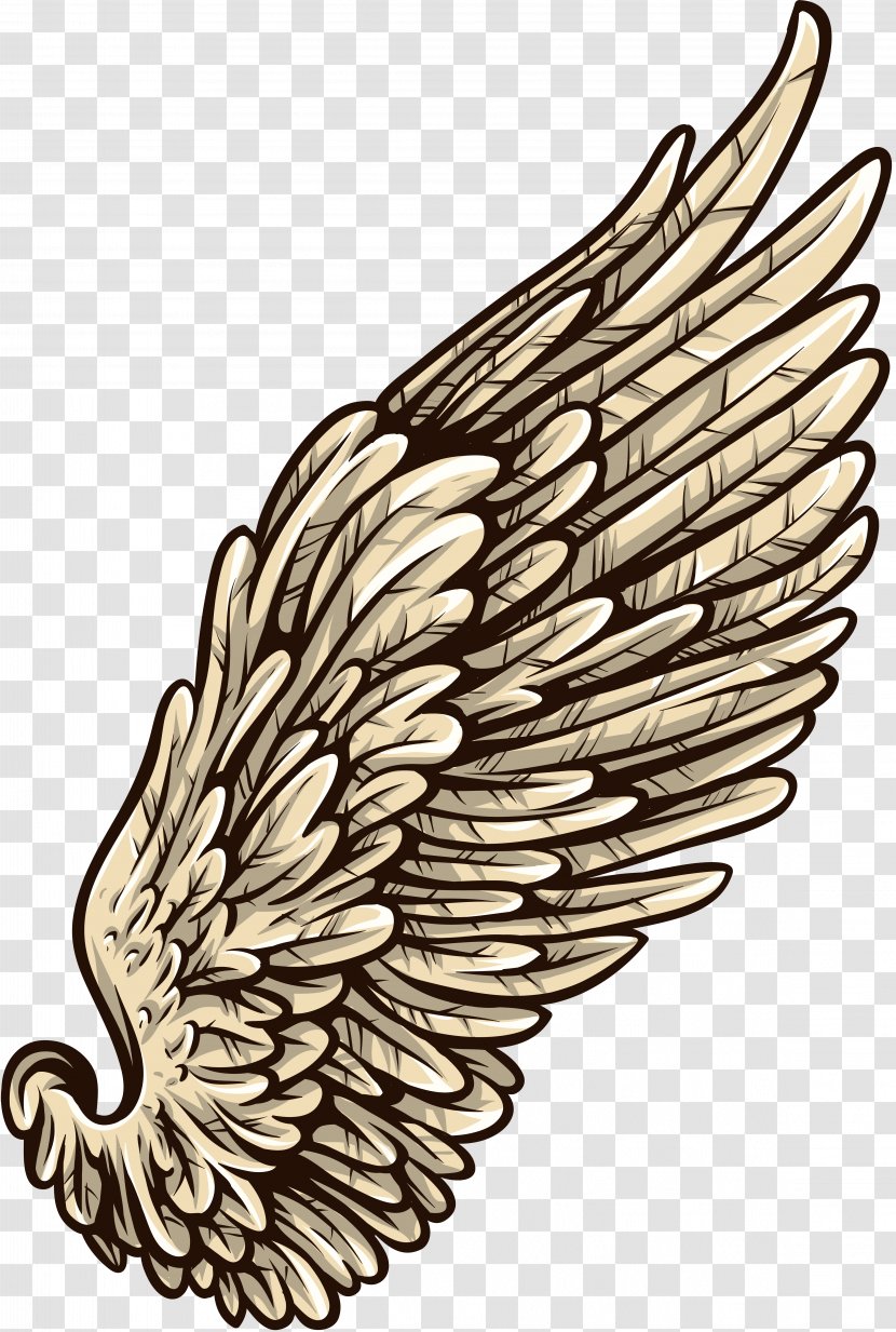 White Wing - Beak - Preview Transparent PNG