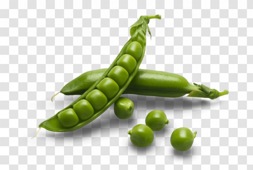 Snap Pea Green Split Bean - Blackeyed Transparent PNG