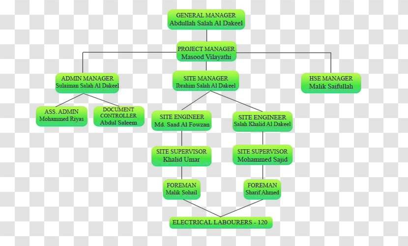 Organizational Chart Technology Company Structure - Brand Transparent PNG