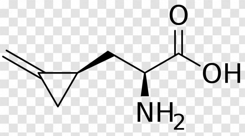 Amino Acid Chemistry Phenylalanine Chemical Formula Hypoglycin A - Diagram - Methylarginine Transparent PNG