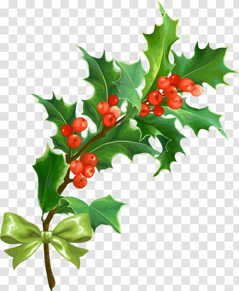 Christmas Holly Leaf - Plant - Creative Transparent PNG