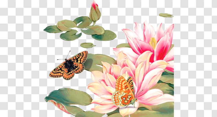 Butterfly Water Lily Lotus Clip Art - Butterflies And Moths Transparent PNG