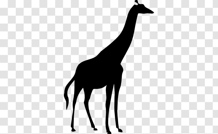 Clip Art - Giraffe - Silhouette Transparent PNG