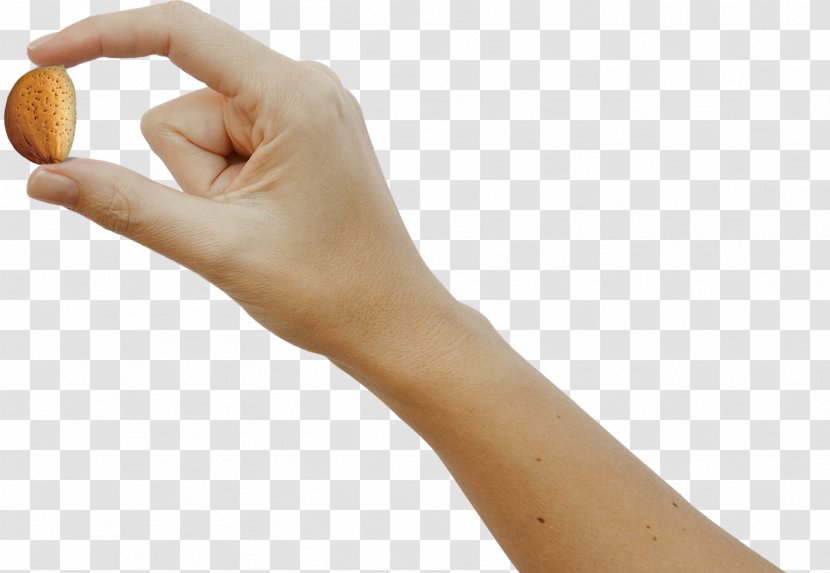 Thumb Hand Model - Variety Transparent PNG