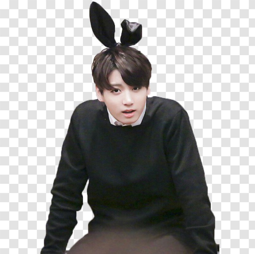 BTS Rabbit Desktop Wallpaper K-pop - Neck Transparent PNG