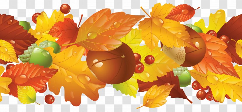 Autumn Leaf Color Clip Art - Orange - Transparent Fall Border Clipart Picture Transparent PNG