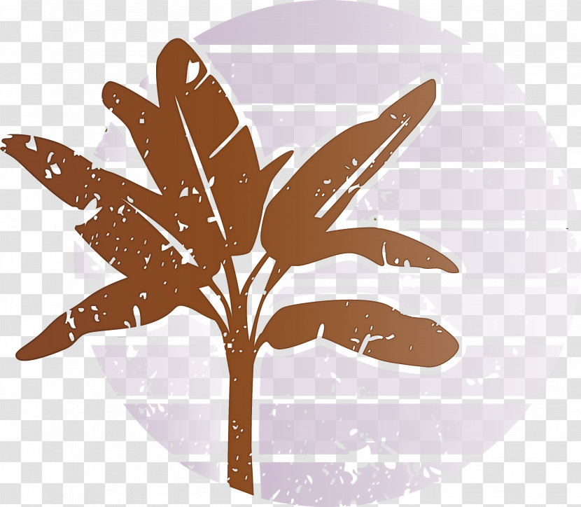 Summer Palm Transparent PNG