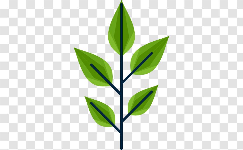 Icon Drawing Leaf - Plant - Diagnosticamos Transparent PNG