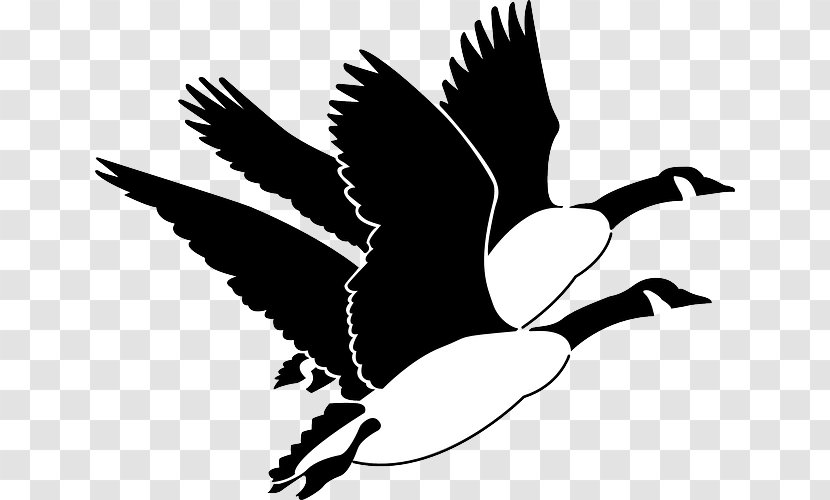 Canada Goose Bird Clip Art Transparent PNG
