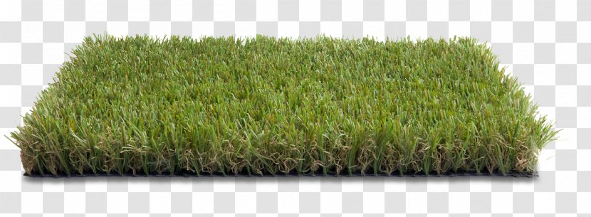 Marche Artificial Turf Zoom Video Communications Meadow Shop - Online Shopping - Landscape Green Transparent PNG