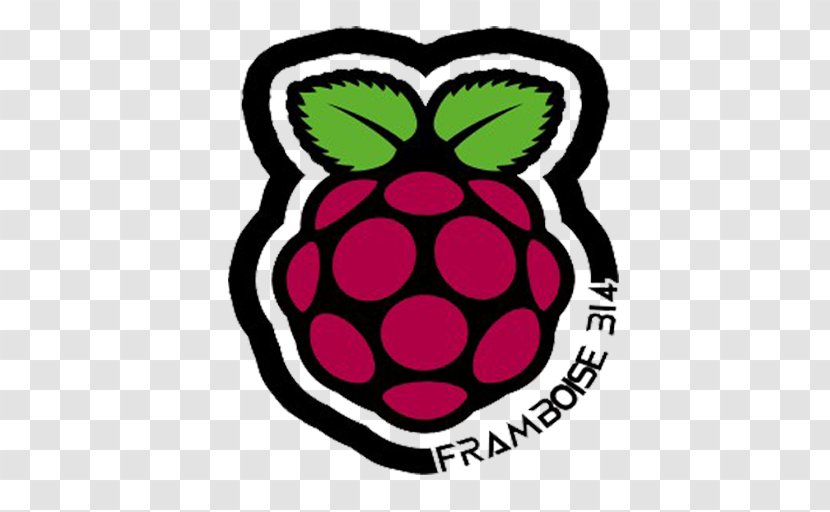 Raspberry Pi Foundation Pi-hole Pi: Questions And Answers Raspbian - Plant - Framboise Flyer Transparent PNG