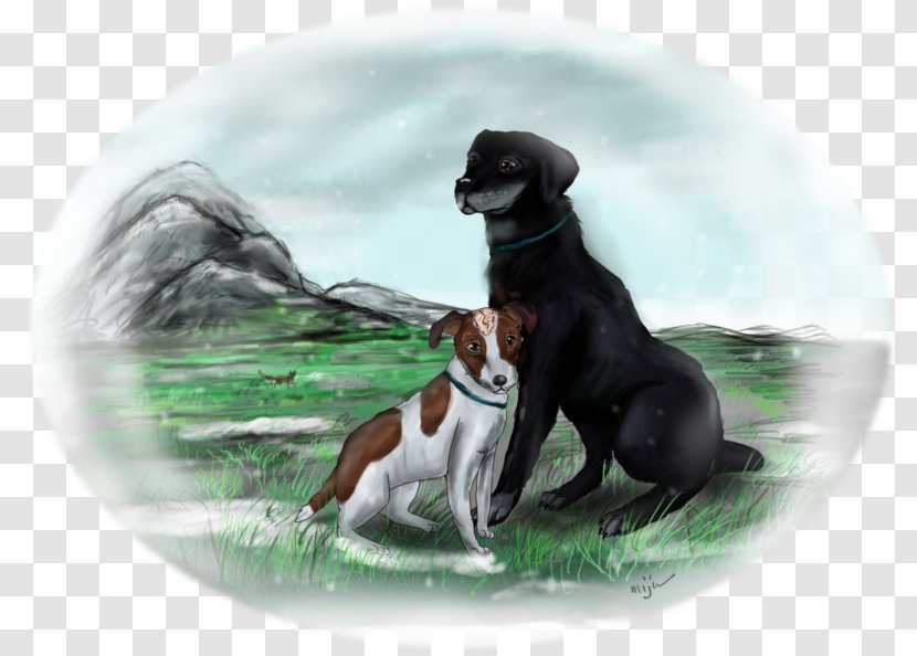 Dog Breed Rowf Group (dog) Animated Film - Fan Art Transparent PNG