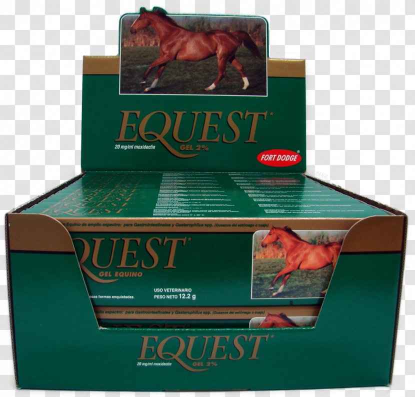 Horses Deworming Moxidectin Dog - Frame - Horse Transparent PNG