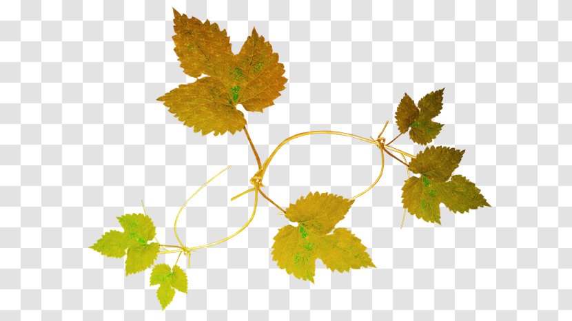 Osenniy Clip Art Grape Leaves LiveInternet - Flower - Toutou Transparent PNG