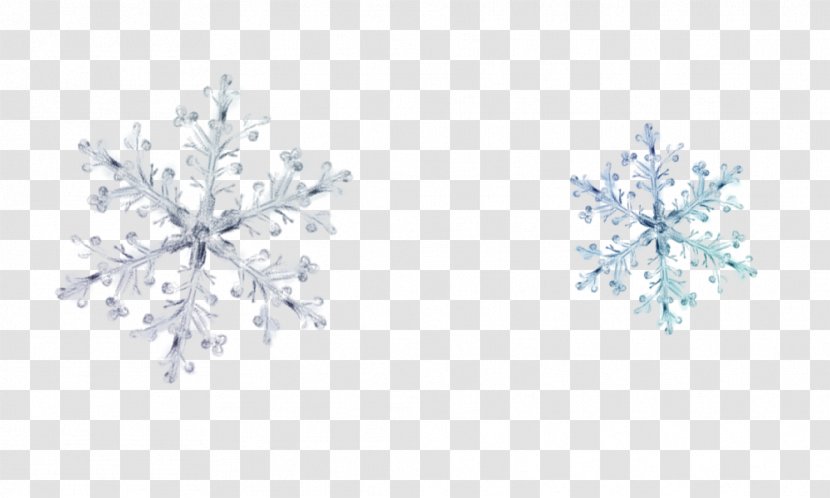 Snowflake Icon - Diamond Transparent PNG