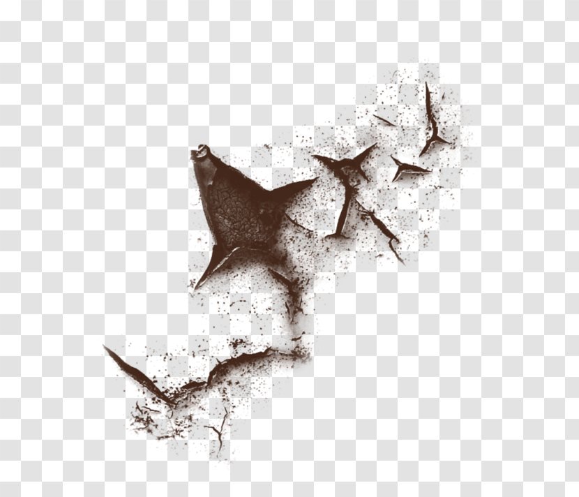 Image Editing Adobe Photoshop - Black And White - Crackle Transparent PNG