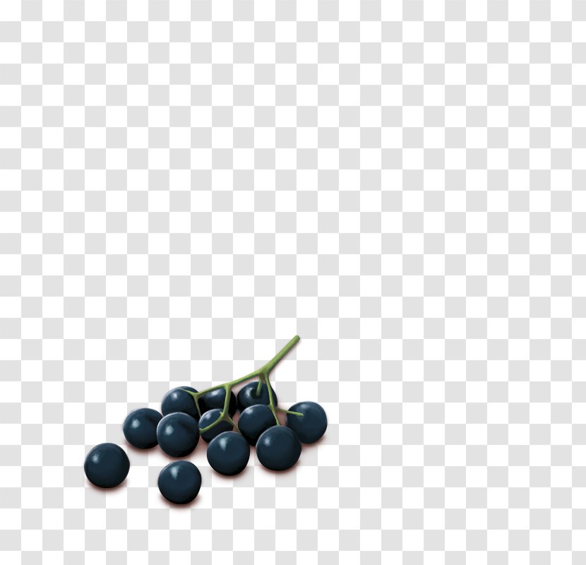 Bilberry Superfood - Food - Elderberries Transparent PNG